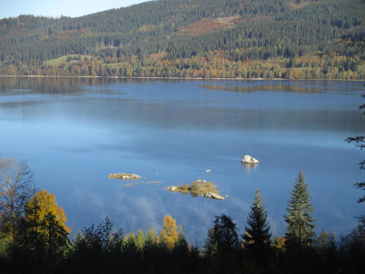 Haus Steininger Schluchsee Exterior foto